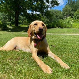 Meet your Posher, Emma